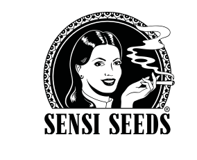 Sensi Sour Diesel X Afghani